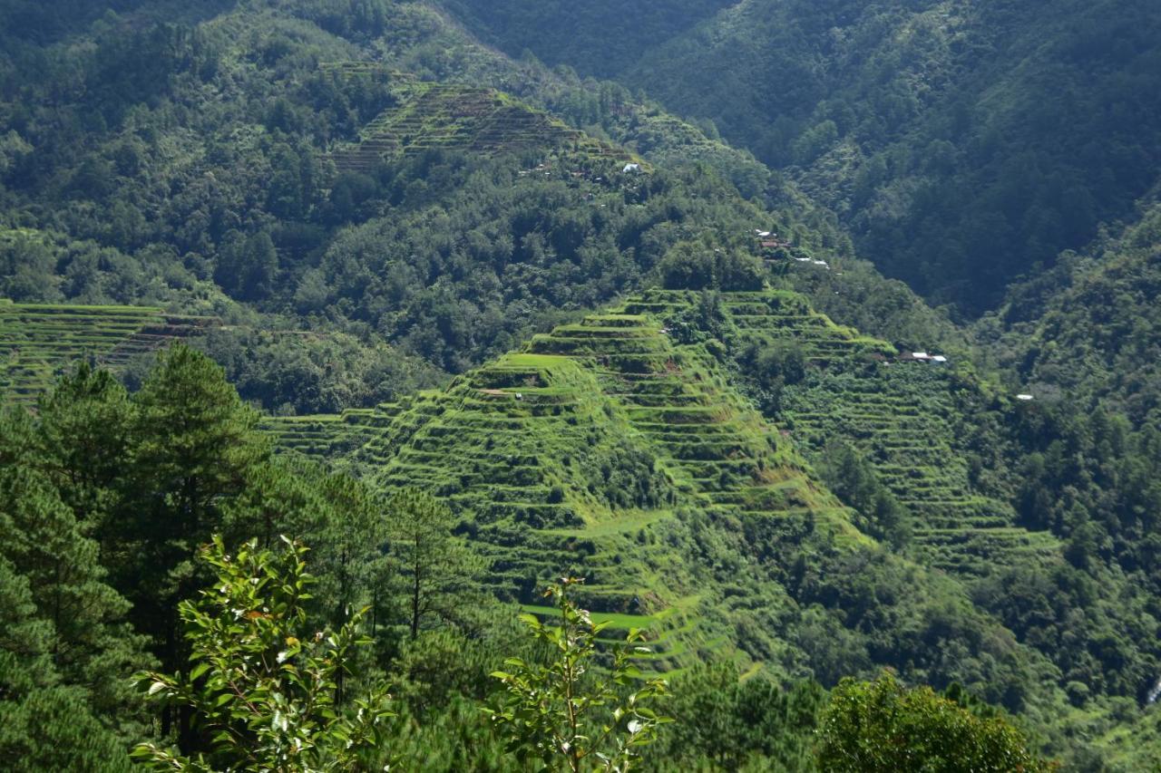 Hiwang Native House Inn & Viewdeck Banaue Ngoại thất bức ảnh