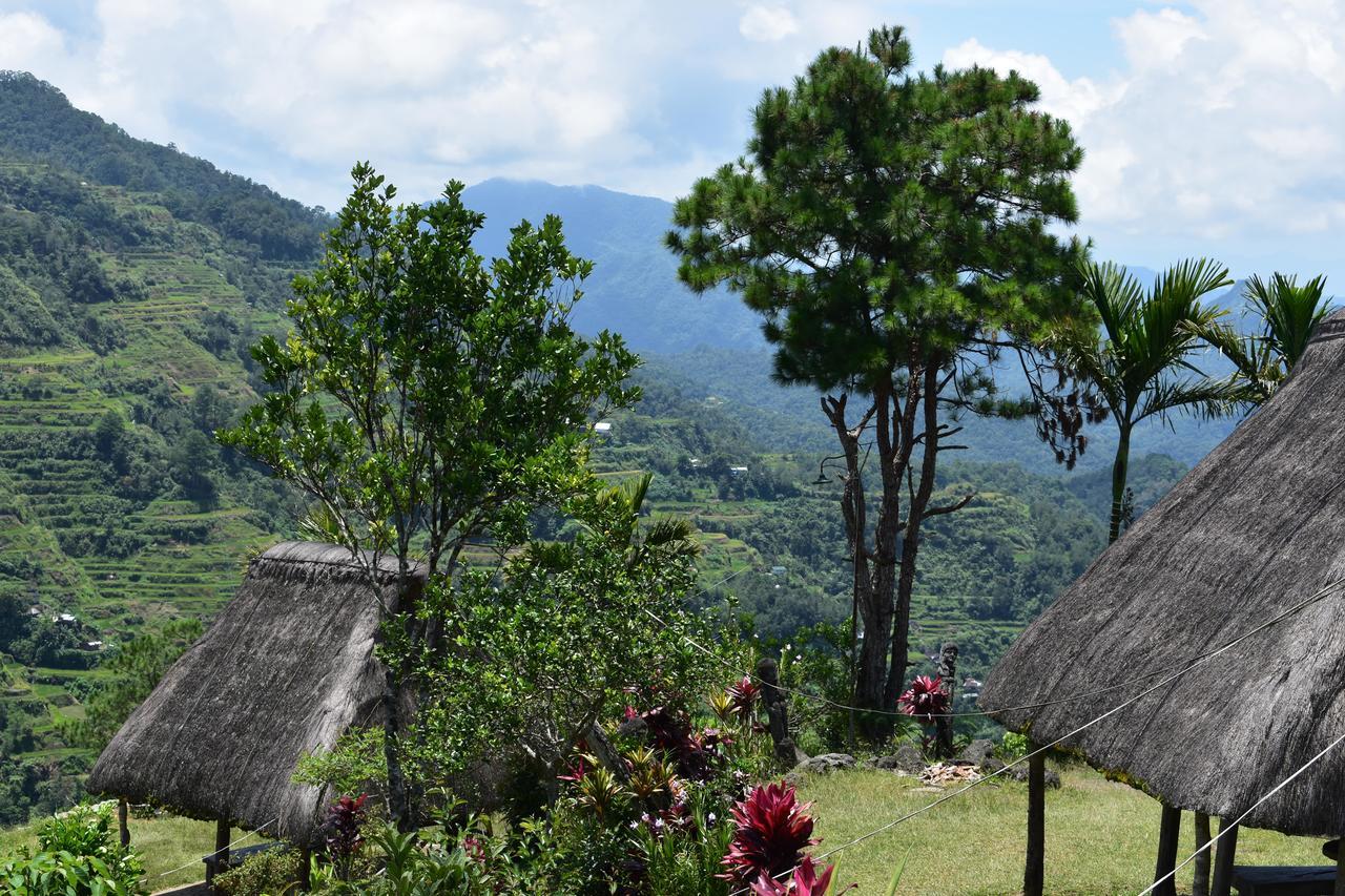 Hiwang Native House Inn & Viewdeck Banaue Ngoại thất bức ảnh