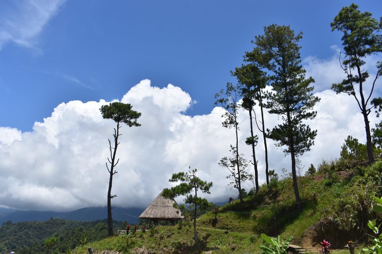Hiwang Native House Inn & Viewdeck Banaue Ngoại thất bức ảnh
